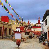 upper-mustang-trekking...