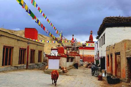 upper-mustang-trekking...