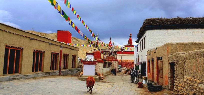 upper-mustang-trekking...