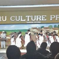 culture-program-of-tharu 