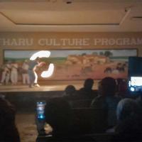 culture-program-tharu 
