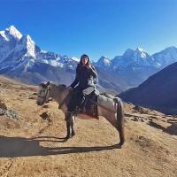 horse-in-everest 