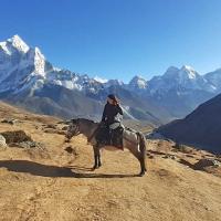horse-riding-trekker 
