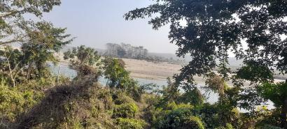 jungle-walk-in-chitwan 