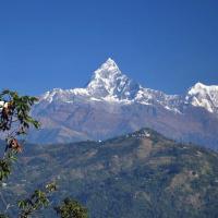 machhapuchhre-view 