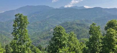 view-from-gangajamuna 