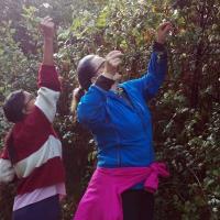 nagarkot-flora 